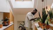 Manfaat mengejutkan berkebun herbal dalam ruangan