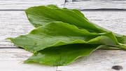 Manfaat Daun Kunyit dalam Hidangan Vegetarian