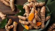 Menjelajahi Bumbu Rempah Vegetarian yang Unik dari Sumatra