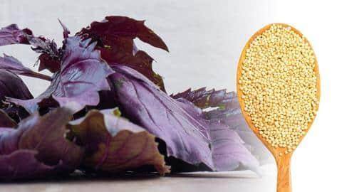 Termasuk superfood, ini 5 manfaat luar biasa amaranth bagi kesehatan Termasuk superfood, ini 5 manfaat luar biasa amaranth bagi kesehatan