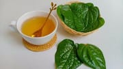 Menjelajahi Olahan Daun Sirih Selain Paan