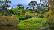 Desa Hobbiton di Selandia Baru: Pengalaman Desa Ajaib