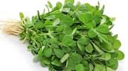 Tingkatkan Cita Rasa Hidangan Anda dengan Sentuhan Daun Fenugreek