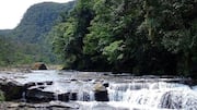 Menemukan Kedamaian di Pulau Iriomote, Jepang