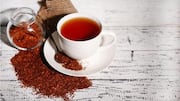 Teh Herbal Eksotis untuk Perjalanan Kuliner yang Menarik