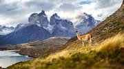 Menjelajahi Jalur Tersembunyi di Patagonia untuk Pemandangan Menakjubkan