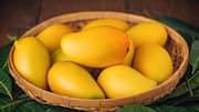 Menjelajahi Varietas Mangga Langka yang Wajib Anda Cicipi