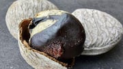 Menghidupkan Kembali Rempah yang Terlupakan dalam Kuliner Indonesia