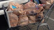 Fakta-Fakta Menarik di Balik Plastik Biodegradable