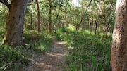 Menyusuri Rute-Rute Pesisir Sydney yang Indah