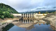 Energi Hidroelektrik dan Populasi Ikan Global