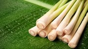 Manfaat Unik Serai dalam Hidangan Gurih