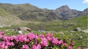 Menikmati Pemandangan Gunung di Andorra