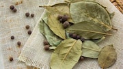 Peran Unik Tejpatta dalam Kuliner Tradisional India