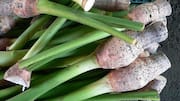 5 Cara Memasak Hidangan Vegetarian Lezat dengan Batang Talas