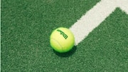 Peran unik bulu pada bola tenis
