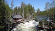 Rekomendasi Tempat Jalan Santai yang Tenang di Finlandia