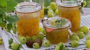 Menjelajahi Cara Menarik Memanfaatkan Gooseberry dalam Hidangan Sehari-hari