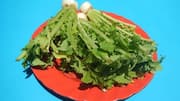 Manfaat kreatif daun lobak di dapur Anda