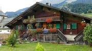 Mengagumi Kemegahan Pegunungan Alpen Swiss dari Dekat