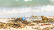 Negara Unik Memimpin Pembersihan Plastik Lautan