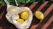 5 Resep Sederhana Dengan Kebaikan Lemon