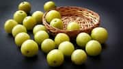 Cara Kreatif Mengolah Amla menjadi Hidangan Gurih