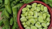 Cara Menikmati Olahan Lezat dari Kacang Koro di Rumah