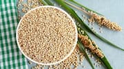 Temukan Keanekaragaman Resep Sorgum yang Lezat