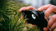 Tips Mengabadikan Foto Makro yang Menakjubkan dengan Ponsel Pintar Anda