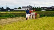 Peran AI dalam Pertanian Berkelanjutan di Indonesia
