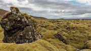 Menjelajahi Ladang Lava Islandia yang Menakjubkan