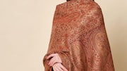 Seni memakai selendang: Menguasai siluet India