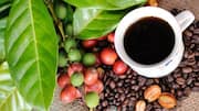 Resep Kopi Rahasia dari Berbagai Daerah di Indonesia