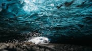Keajaiban Gua Es di Islandia