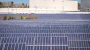 Biorekayasa Energi Bersih di Australia
