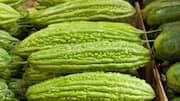 Kreasi Unik Hidangan Vegetarian dengan Bahan Dasar Pare India