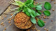 Manfaat Biji-bijian Unik dalam Resep Populer Gujarat