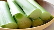 Resep Inovatif dengan Batang Talas untuk Masakan Vegetarian