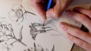 Menggambar Pola Botani: Menangkap Desain Rumit dari Alam