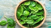 Menemukan Rasa Tersembunyi dari Sayuran Daun Indonesia 