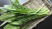 Resep Kreatif dengan Bahan Dasar Daun Dandelion 
