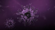 Memahami Peran Penting Virus secara Lebih Luas