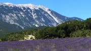 Menjelajahi Kota Bukit Abad Pertengahan di Provence, Prancis