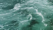 Pertanian Air Laut di Indonesia: Terobosan Keberlanjutan
