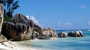 Seychelles: Menemukan Pantai Indah dan Kehidupan Laut yang Berwarna-warni