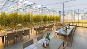 Restoran Unik Bertema Geotermal di Reykjavik