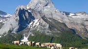Desa-Desa Menawan di Pyrenees yang Patut Dijelajahi