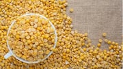 Menemukan Kembali Lentil India yang Kurang Dikenal