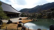 Berjalan Santai di Hutan Bambu Kyoto